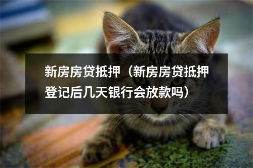 新房房贷抵押（新房房贷抵押登记后几天银行会放款吗）