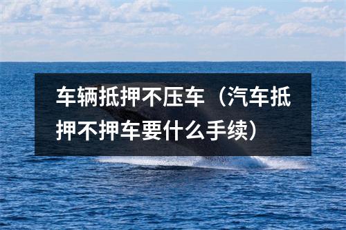 车辆抵押不压车（汽车抵押不押车要什么手续）