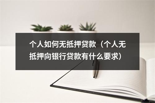 个人如何无抵押贷款（个人无抵押向银行贷款有什么要求）