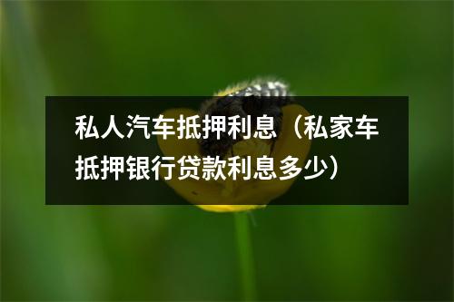 私人汽车抵押利息（私家车抵押银行贷款利息多少）