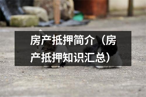 房产抵押简介（房产抵押知识汇总）