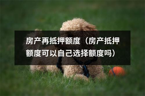 房产再抵押额度（房产抵押额度可以自己选择额度吗）