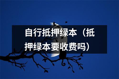自行抵押绿本（抵押绿本要收费吗）