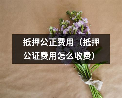 抵押公正费用（抵押公证费用怎么收费）