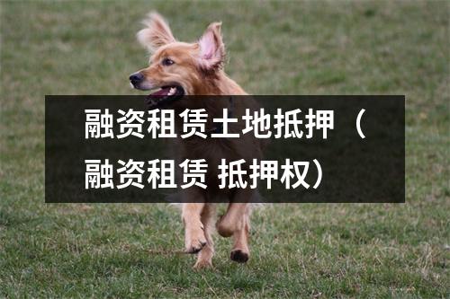 融资租赁土地抵押（融资租赁 抵押权）