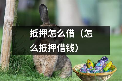 抵押怎么借（怎么抵押借钱）