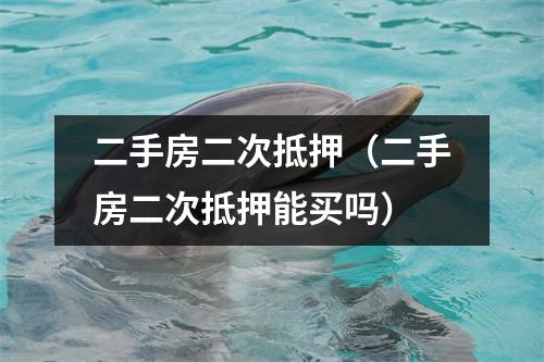 二手房二次抵押（二手房二次抵押能买吗）