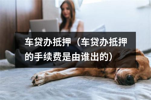 车贷办抵押（车贷办抵押的手续费是由谁出的）