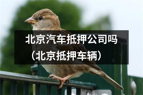 北京汽车抵押公司吗（北京抵押车辆）