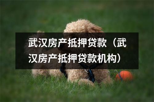 武汉房产抵押贷款（武汉房产抵押贷款机构）