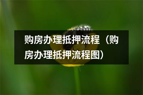 购房办理抵押流程（购房办理抵押流程图）
