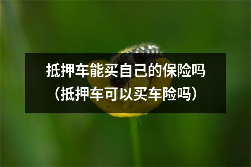 抵押车能买自己的保险吗（抵押车可以买车险吗）