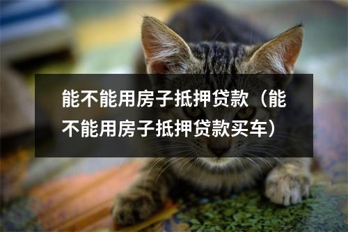 能不能用房子抵押贷款（能不能用房子抵押贷款买车）