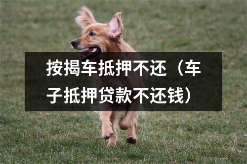 按揭车抵押不还（车子抵押贷款不还钱）