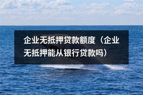 企业无抵押贷款额度（企业无抵押能从银行贷款吗）