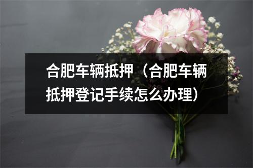 合肥车辆抵押（合肥车辆抵押登记手续怎么办理）