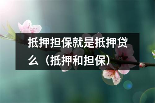 抵押担保就是抵押贷么（抵押和担保）