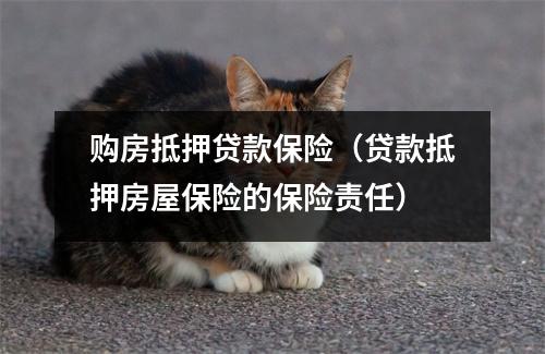 购房抵押贷款保险（贷款抵押房屋保险的保险责任）