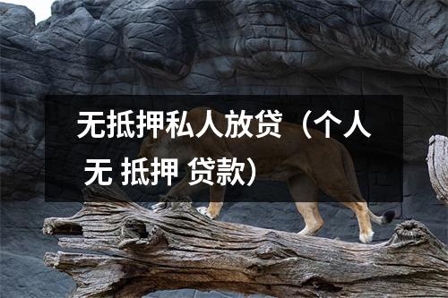 无抵押私人放贷（个人 无 抵押 贷款）