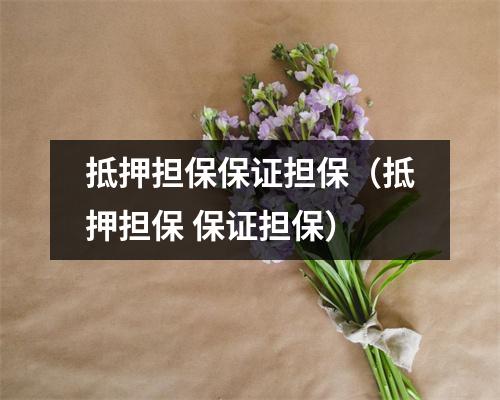 抵押担保保证担保（抵押担保 保证担保）