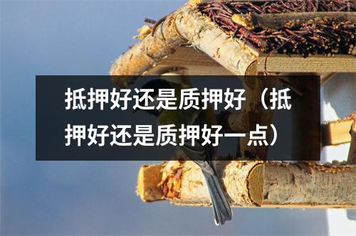 抵押好还是质押好（抵押好还是质押好一点）