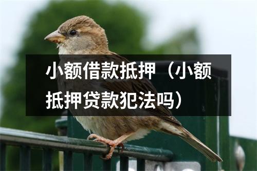 小额借款抵押（小额抵押贷款犯法吗）