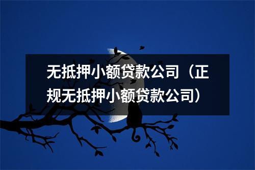 无抵押小额贷款公司（正规无抵押小额贷款公司）
