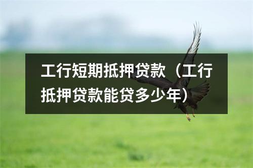 工行短期抵押贷款（工行抵押贷款能贷多少年）