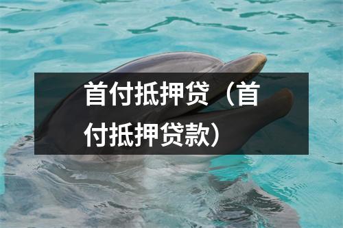 首付抵押贷（首付抵押贷款）