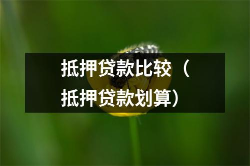 抵押贷款比较（抵押贷款划算）