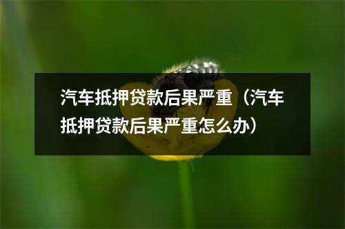 汽车抵押贷款后果严重（汽车抵押贷款后果严重怎么办）