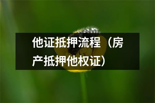 他证抵押流程（房产抵押他权证）