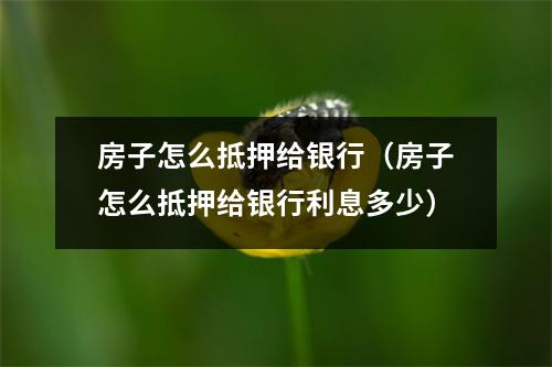 房子怎么抵押给银行（房子怎么抵押给银行利息多少）