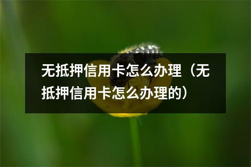 无抵押信用卡怎么办理（无抵押信用卡怎么办理的）