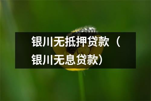 银川无抵押贷款（银川无息贷款）