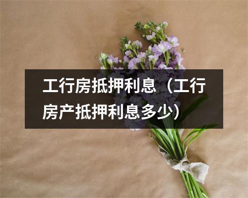 工行房抵押利息（工行房产抵押利息多少）