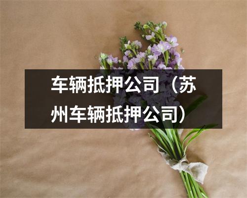 车辆抵押公司（苏州车辆抵押公司）