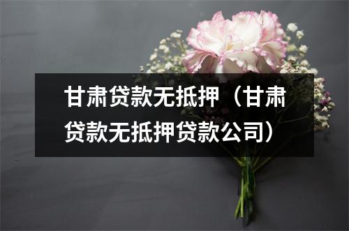 甘肃贷款无抵押（甘肃贷款无抵押贷款公司）