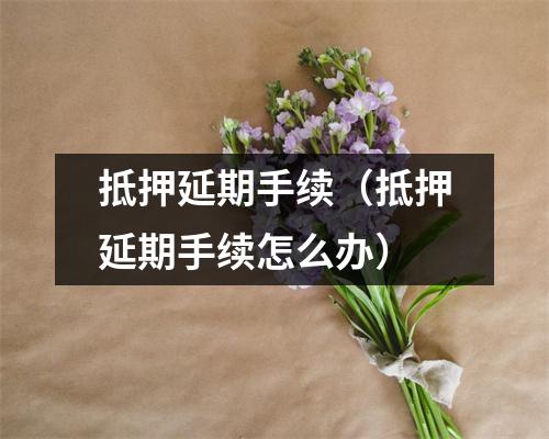 抵押延期手续（抵押延期手续怎么办）