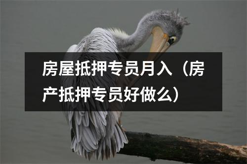 房屋抵押专员月入（房产抵押专员好做么）