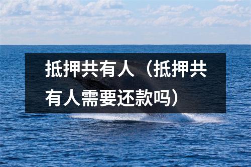 抵押共有人（抵押共有人需要还款吗）