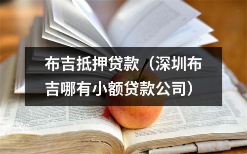 布吉抵押贷款（深圳布吉哪有小额贷款公司）