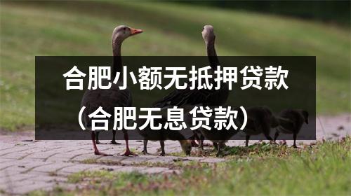 合肥小额无抵押贷款（合肥无息贷款）