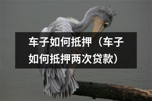 车子如何抵押（车子如何抵押两次贷款）