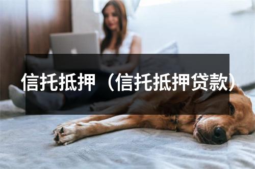 信托抵押（信托抵押贷款）