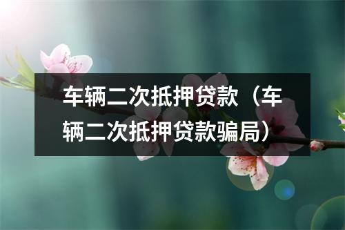 车辆二次抵押贷款（车辆二次抵押贷款骗局）