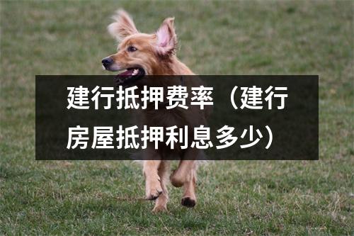 建行抵押费率（建行房屋抵押利息多少）