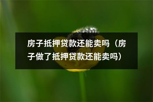 房子抵押贷款还能卖吗（房子做了抵押贷款还能卖吗）