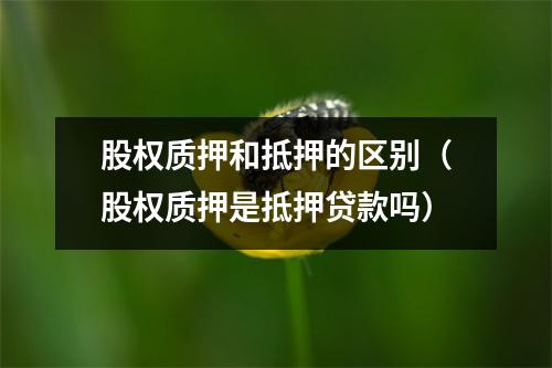 股权质押和抵押的区别（股权质押是抵押贷款吗）