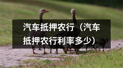 汽车抵押农行（汽车抵押农行利率多少）